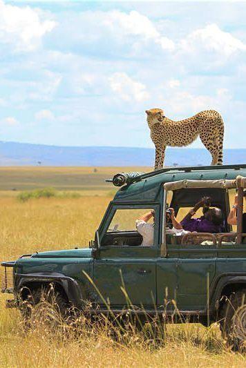 Game Drive