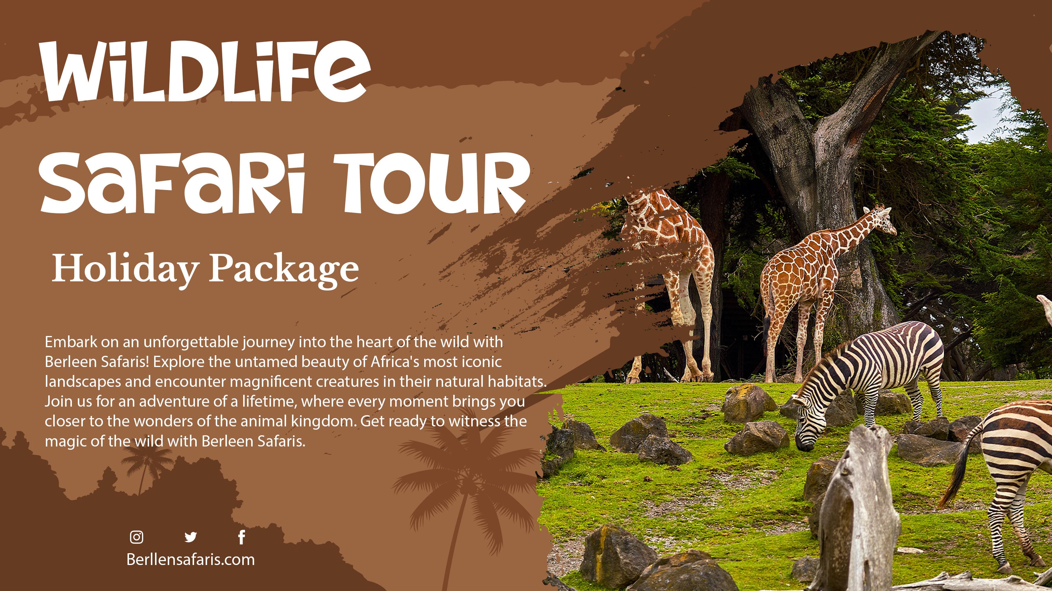 Giraffe Tour